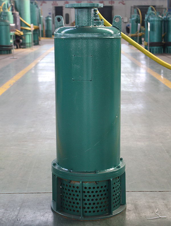 BQS30礦用排沙泵